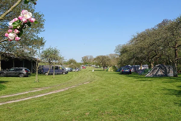 Bredy Farm Campsite in Bridport